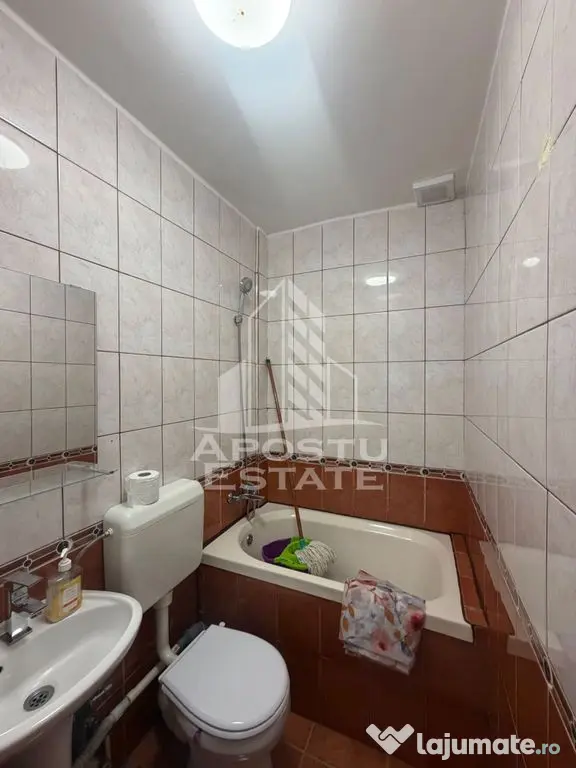 Garsoniera de vanzare, renovata , Zona Lipovei - Timisoara (Timis)