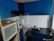 Garsoniera, zona Buziasului- AEM, Centrala Proprie, Aer Conditionat 