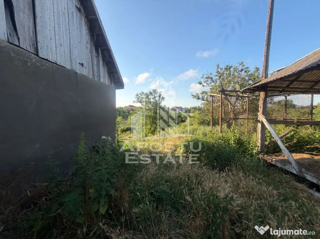 Casa batraneasca cu teren de 3022 mp, in Carani - Carani (Timis)