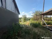 Casa batraneasca cu teren de 3022 mp, in Carani 