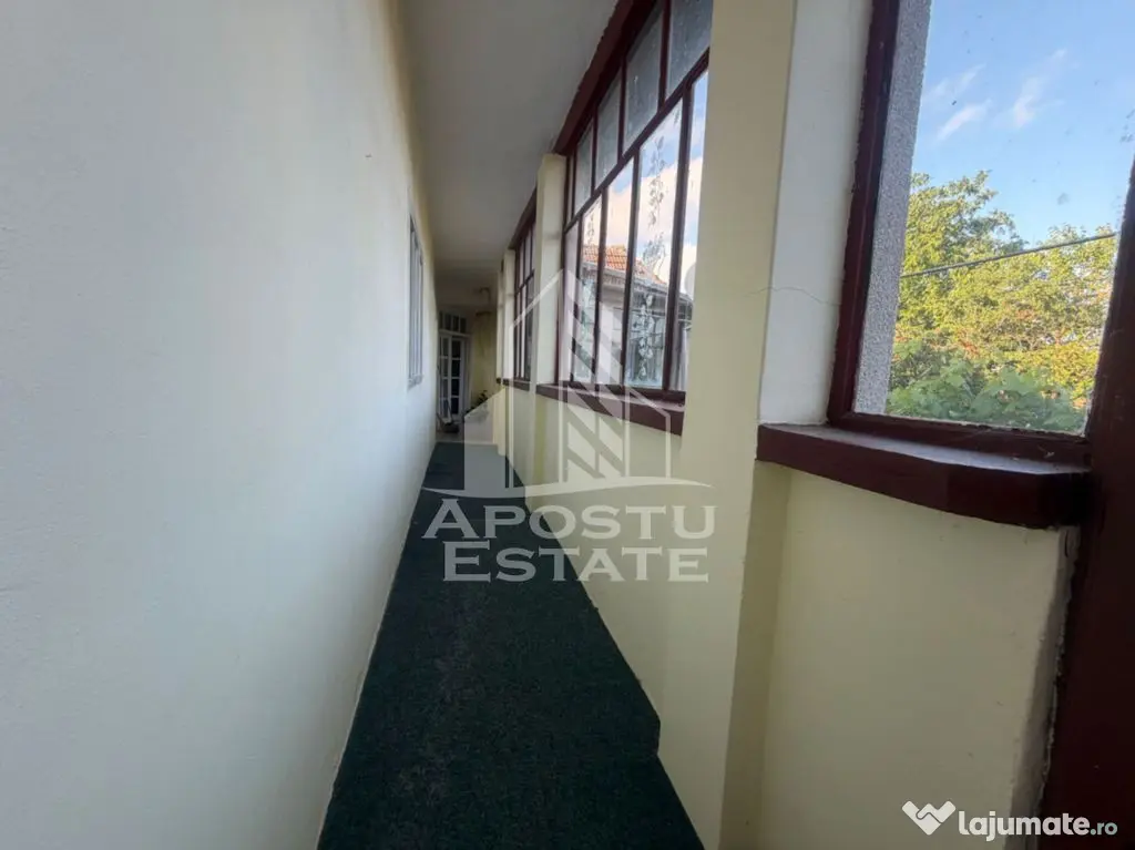 Casa batraneasca cu teren de 3022 mp, in Carani - Carani (Timis)