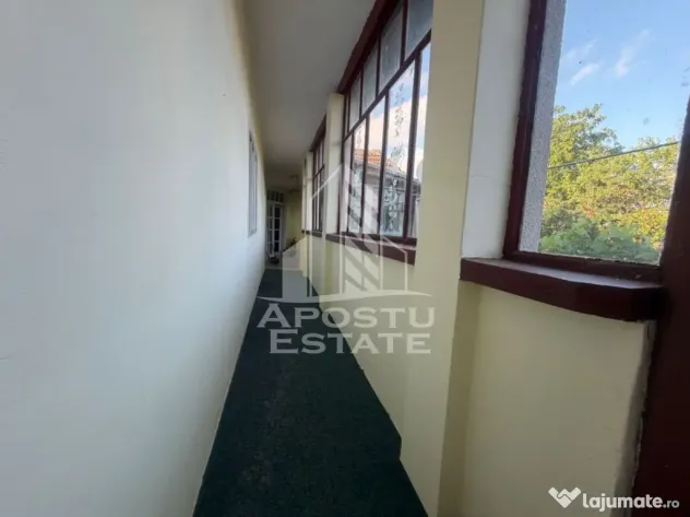 Casa batraneasca cu teren de 3022 mp, in Carani - Carani (Timis)