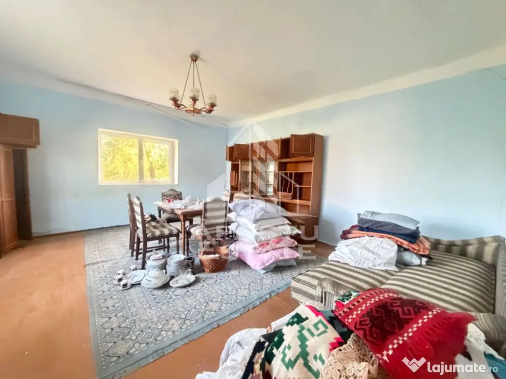 Casa batraneasca cu teren de 3022 mp, in Carani - Carani (Timis)