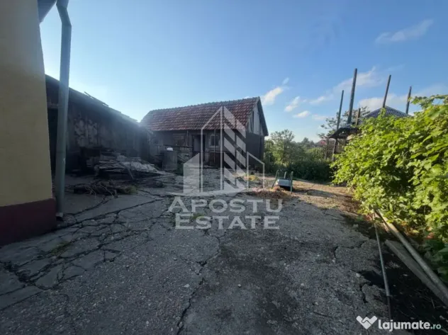 Casa batraneasca cu teren de 3022 mp, in Carani - Carani (Timis)