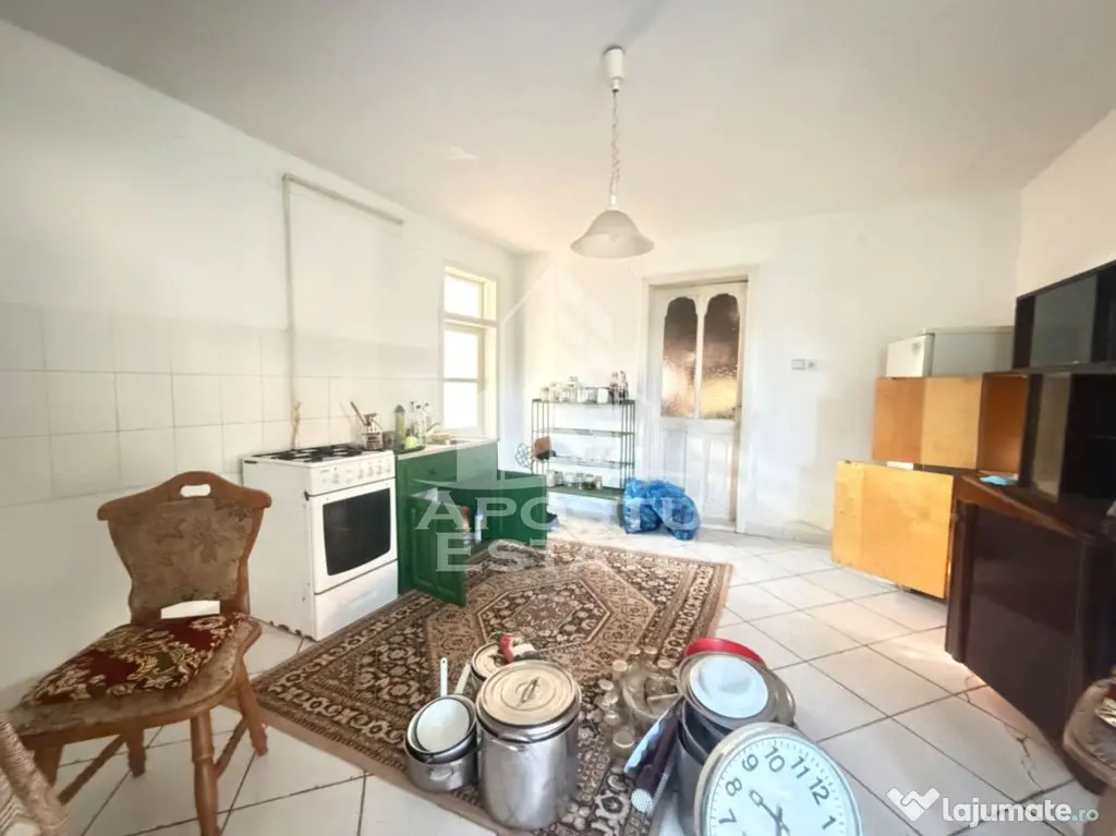 Casa batraneasca cu teren de 3022 mp, in Carani - Carani (Timis)