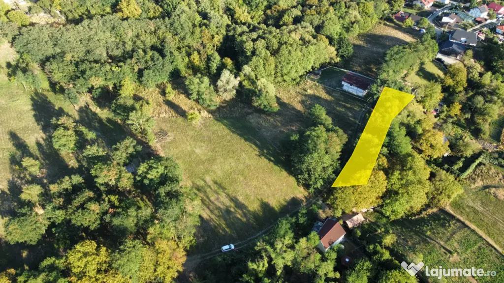 TEREN IN VLADESTI - NATURA, LINISTE SI DOAR 7 KM PANA IN CEN - Vladesti (Valcea)