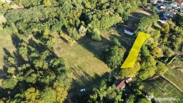 TEREN IN VLADESTI - NATURA, LINISTE SI DOAR 7 KM PANA IN CEN - Vladesti (Valcea)