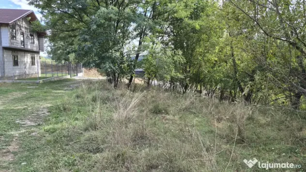 TEREN IN VLADESTI - NATURA, LINISTE SI DOAR 7 KM PANA IN CEN - Vladesti (Valcea)