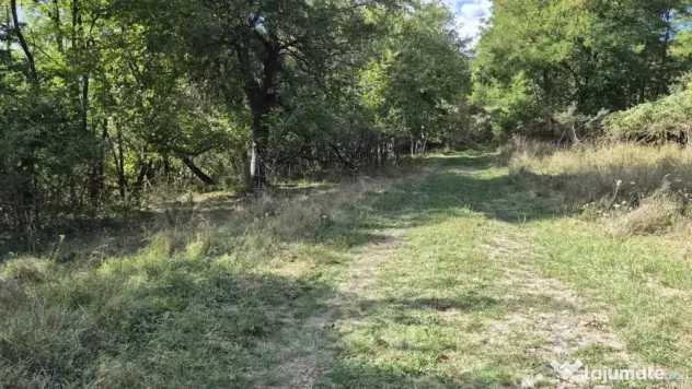 TEREN IN VLADESTI - NATURA, LINISTE SI DOAR 7 KM PANA IN CEN - Vladesti (Valcea)