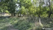 TEREN IN VLADESTI - NATURA, LINISTE SI DOAR 7 KM PANA IN CEN 