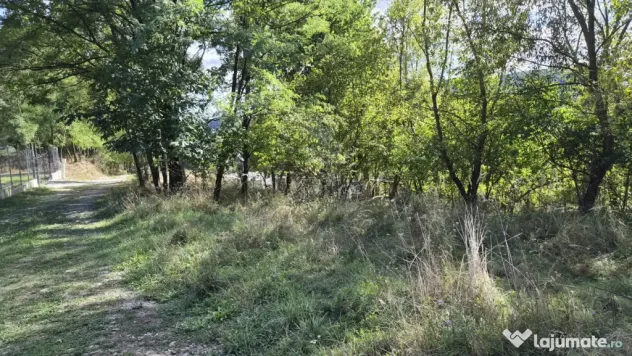 TEREN IN VLADESTI - NATURA, LINISTE SI DOAR 7 KM PANA IN CEN - Vladesti (Valcea)