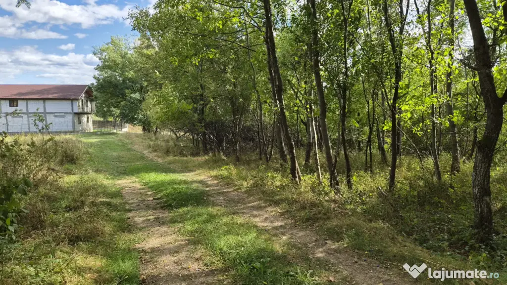 TEREN IN VLADESTI - NATURA, LINISTE SI DOAR 7 KM PANA IN CEN - Vladesti (Valcea)