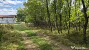 TEREN IN VLADESTI - NATURA, LINISTE SI DOAR 7 KM PANA IN CEN 