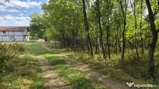 TEREN IN VLADESTI - NATURA, LINISTE SI DOAR 7 KM PANA IN CEN - Vladesti (Valcea)