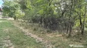 TEREN IN VLADESTI - NATURA, LINISTE SI DOAR 7 KM PANA IN CEN 