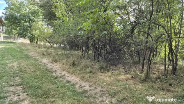TEREN IN VLADESTI - NATURA, LINISTE SI DOAR 7 KM PANA IN CEN - Vladesti (Valcea)