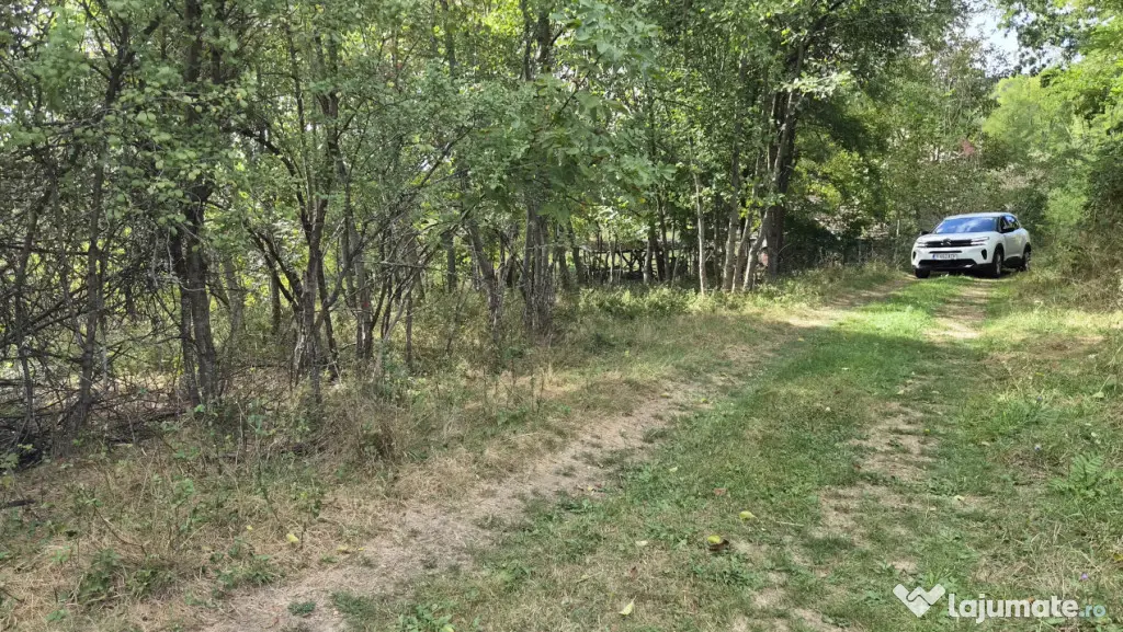 TEREN IN VLADESTI - NATURA, LINISTE SI DOAR 7 KM PANA IN CEN - Vladesti (Valcea)