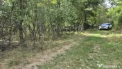 TEREN IN VLADESTI - NATURA, LINISTE SI DOAR 7 KM PANA IN CEN 