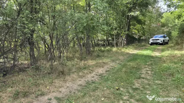 TEREN IN VLADESTI - NATURA, LINISTE SI DOAR 7 KM PANA IN CEN - Vladesti (Valcea)
