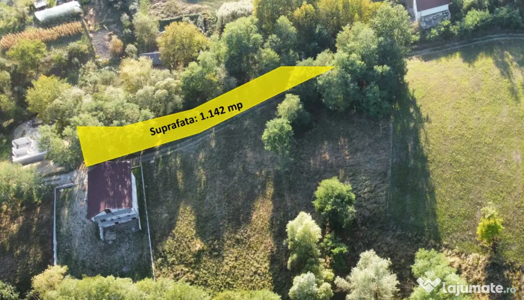TEREN IN VLADESTI - NATURA, LINISTE SI DOAR 7 KM PANA IN CEN - Vladesti (Valcea)