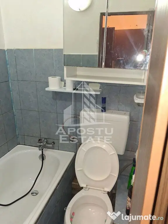 Garsoniera de vanzare, etaj intermediar, zona Aradului, Timisoara - Timisoara (Timis)