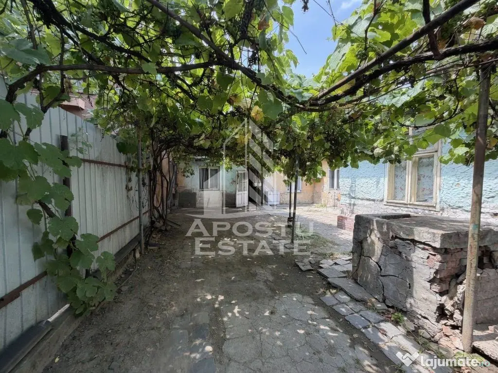 Casa de vanzare, teren 225 mp, zona Fratelia, Bujorilor, Timisoara - Timisoara (Timis)