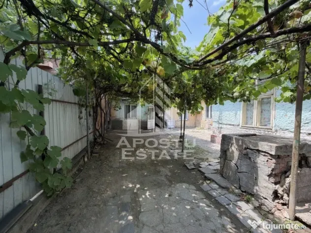 Casa de vanzare, teren 225 mp, zona Fratelia, Bujorilor, Timisoara - Timisoara (Timis)