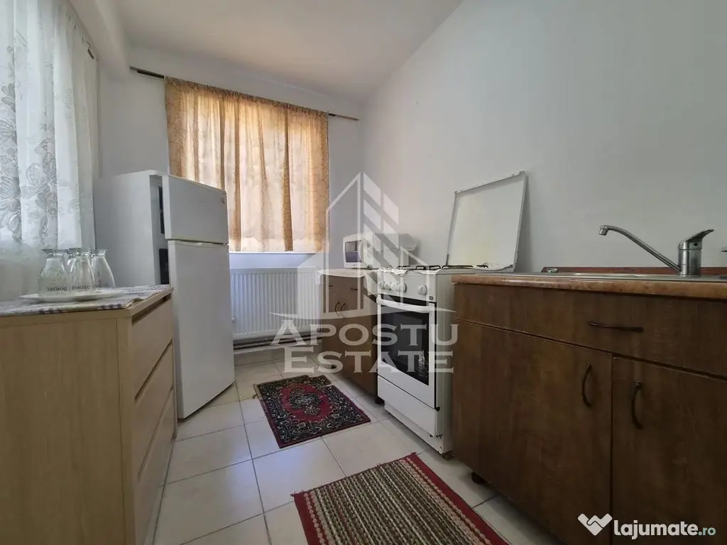 Apartament 1 camera curte comuna,zona Alfa - Arad (Arad)