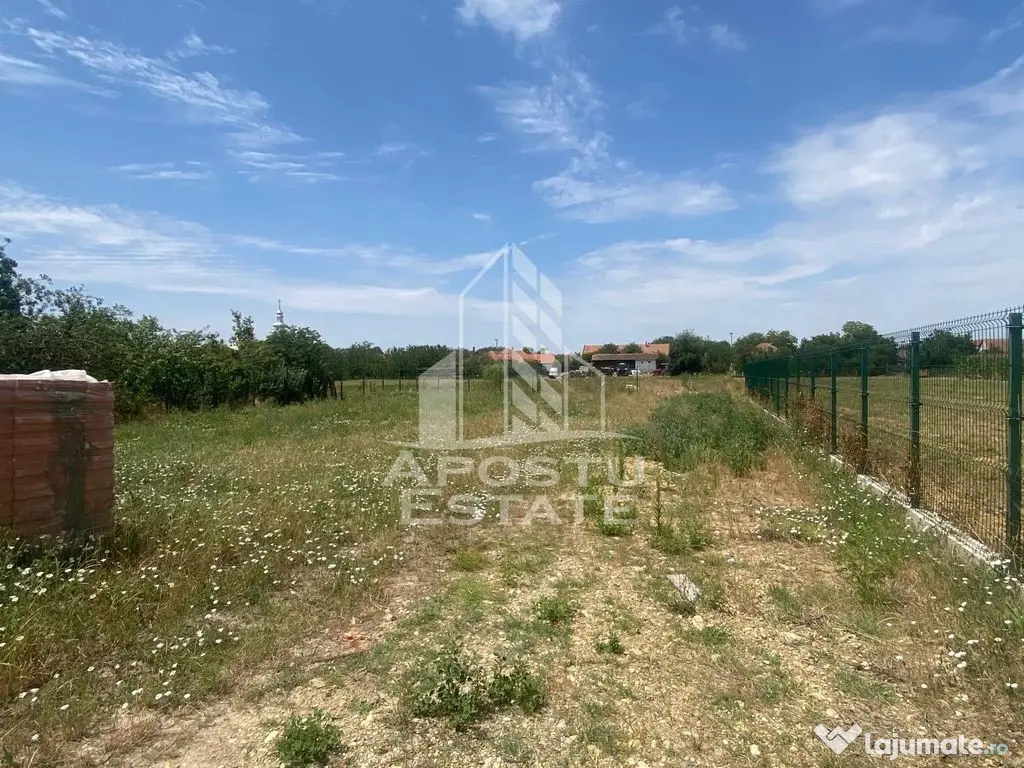 Teren constructii intravilan de vanzare Dragsina Timis 1000 mp - Dragsina (Timis)