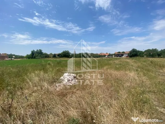 Teren constructii intravilan de vanzare Dragsina Timis 1000 mp - Dragsina (Timis)
