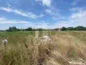 Teren constructii intravilan de vanzare Dragsina Timis 1000 mp