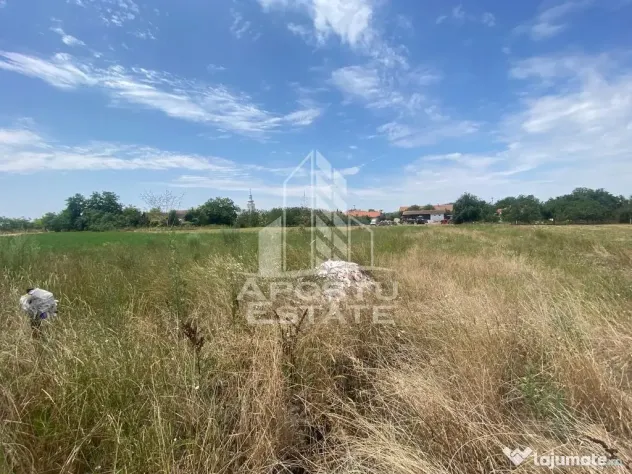 Teren constructii intravilan de vanzare Dragsina Timis 1000 mp - Dragsina (Timis)