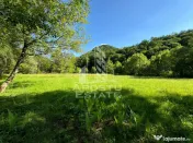 Teren de vanzare pe marginea raului, 1300mp, in Gros, Hunedoara 