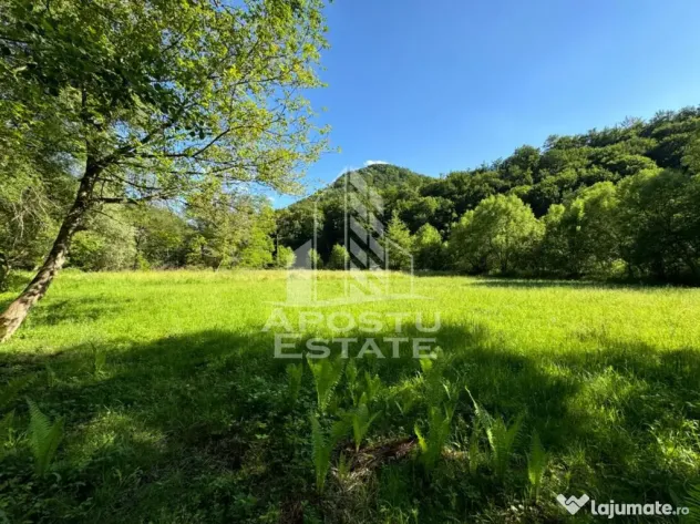 Teren de vanzare pe marginea raului, 1300mp, in Gros, Hunedoara - Gros (Hunedoara)