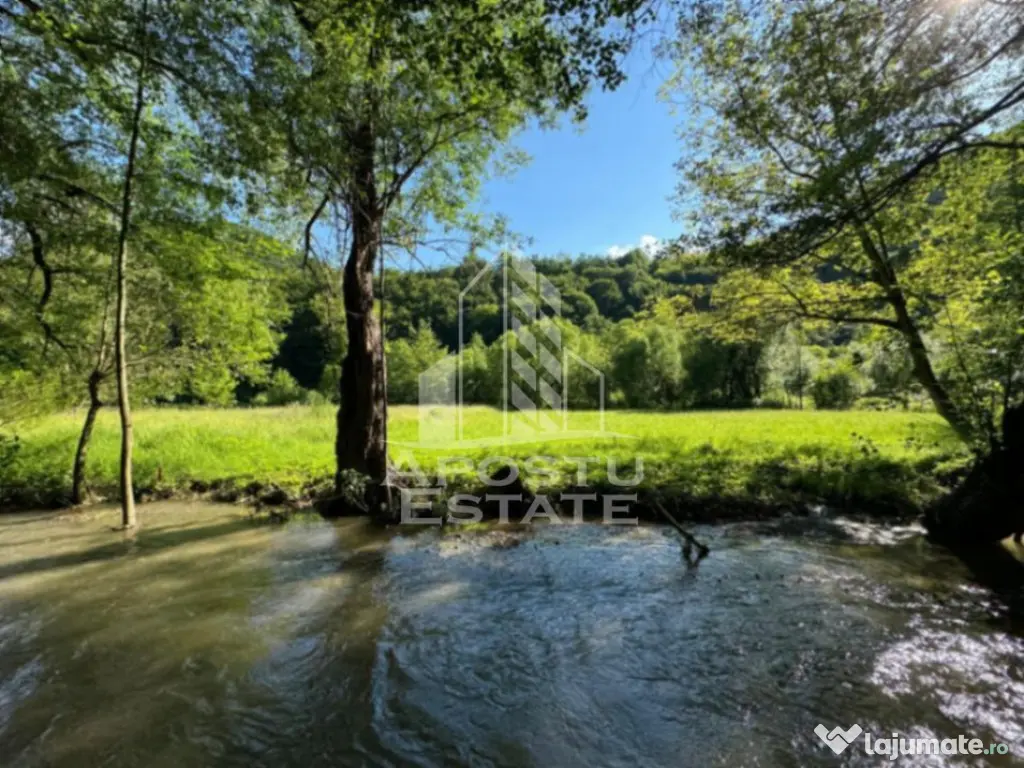 Teren de vanzare pe marginea raului, 1300mp, in Gros, Hunedoara - Gros (Hunedoara)