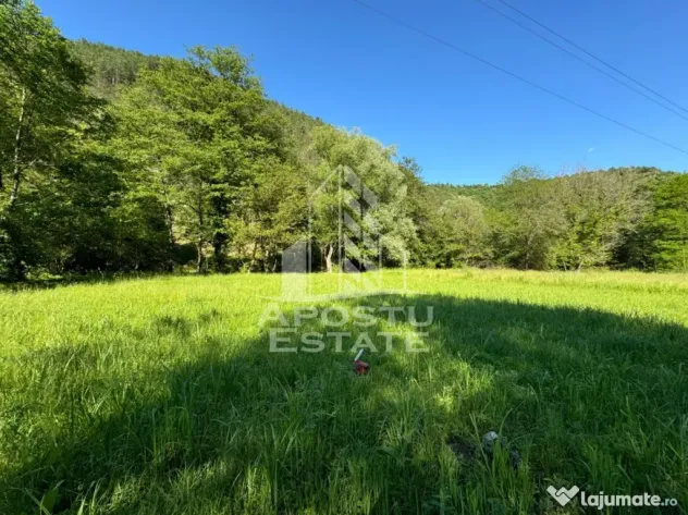 Teren de vanzare pe marginea raului, 1300mp, in Gros, Hunedoara - Gros (Hunedoara)