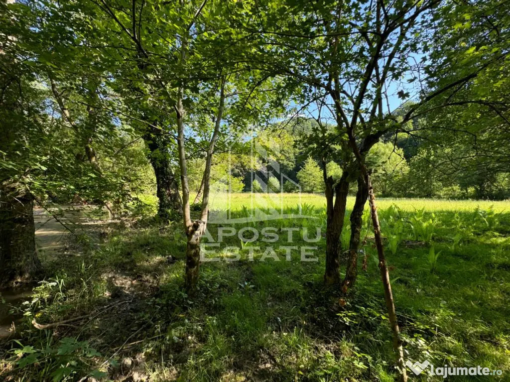 Teren de vanzare pe marginea raului, 1300mp, in Gros, Hunedoara - Gros (Hunedoara)