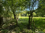 Teren de vanzare pe marginea raului, 1300mp, in Gros, Hunedoara 