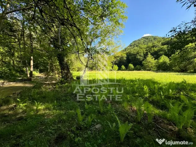 Teren de vanzare pe marginea raului, 1300mp, in Gros, Hunedoara - Gros (Hunedoara)