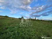 Teren intravilan cu vedere panoramica spre Retezat, Buituri, Hunedoara 