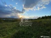 Teren intravilan cu vedere panoramica spre Retezat, Buituri, Hunedoara 