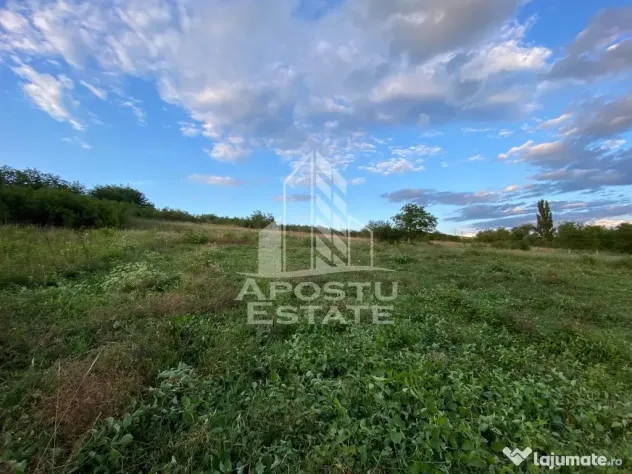 Teren intravilan cu vedere panoramica spre Retezat, Buituri, Hunedoara - Hunedoara (Hunedoara)