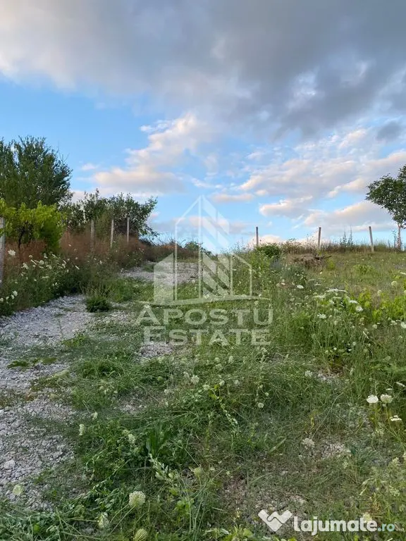 Teren intravilan cu vedere panoramica spre Retezat, Buituri, Hunedoara - Hunedoara (Hunedoara)