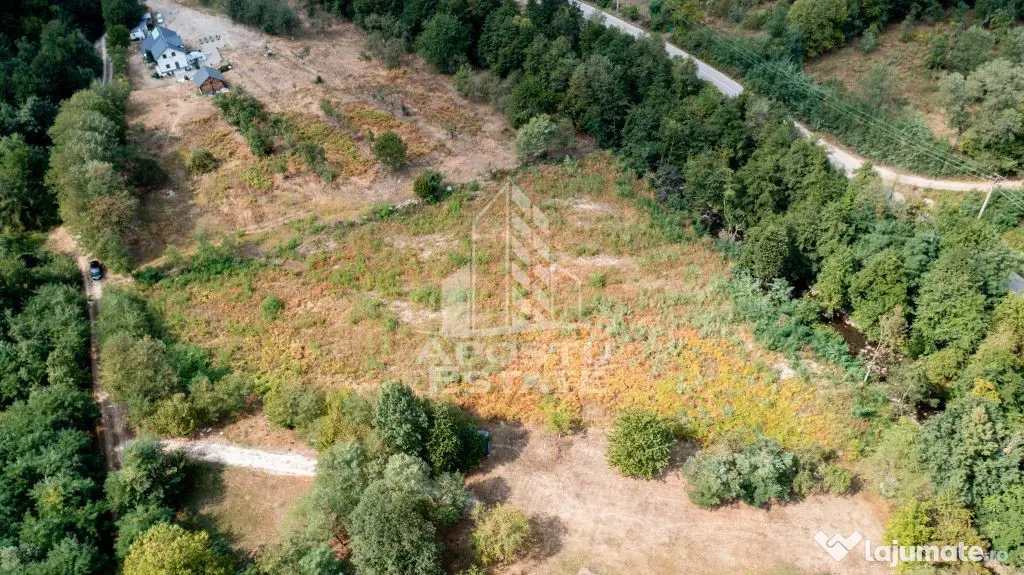 Teren de vanzare, 5000mp, cu iesire la rau, in Borlova, Muntele Mic - Borlova (Caras-Severin)