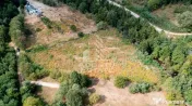Teren de vanzare, 5000mp, cu iesire la rau, in Borlova, Muntele Mic 