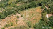 Teren de vanzare, 5000mp, cu iesire la rau, in Borlova, Muntele Mic 