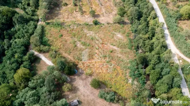Teren de vanzare, 5000mp, cu iesire la rau, in Borlova, Muntele Mic - Borlova (Caras-Severin)