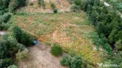 Teren de vanzare, 5000mp, cu iesire la rau, in Borlova, Muntele Mic 