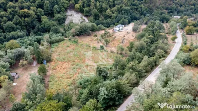 Teren de vanzare, 5000mp, cu iesire la rau, in Borlova, Muntele Mic - Borlova (Caras-Severin)