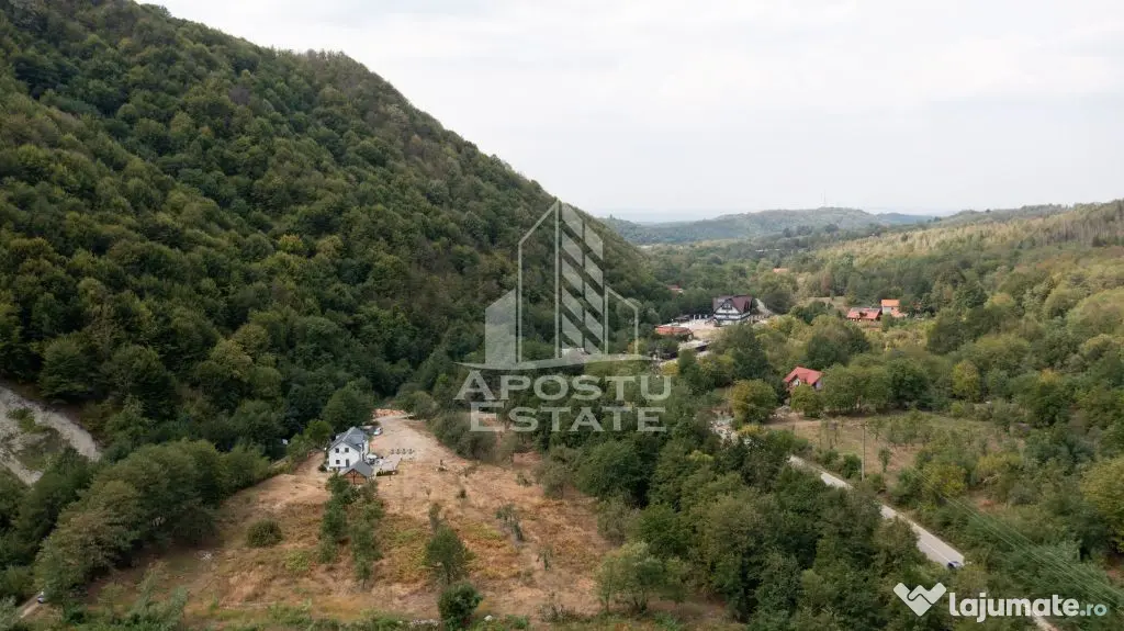 Teren de vanzare, 5000mp, cu iesire la rau, in Borlova, Muntele Mic - Borlova (Caras-Severin)